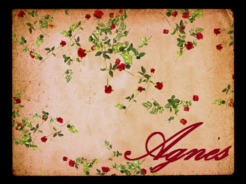Agnesname.png