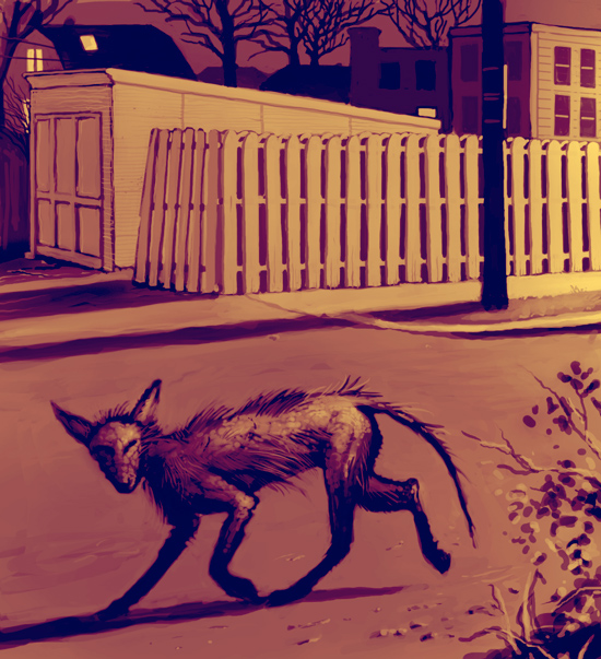 Rabies fox.jpg