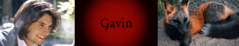 GavinT Banner.png