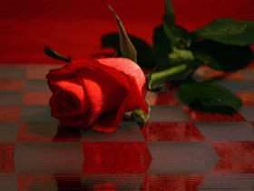 Redrose.gif