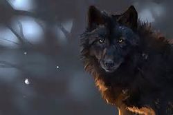 Lydwolf.jpg