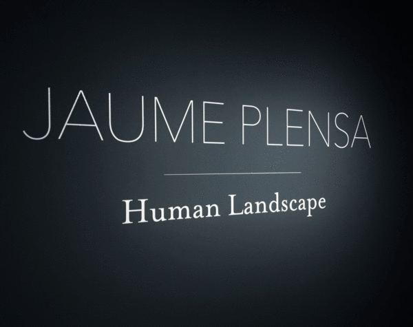 Jaume-Plensa-Human-Landscap.gif