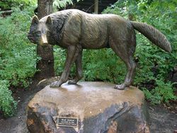 Wolf Statue.jpg