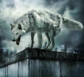 Wolf city.jpg