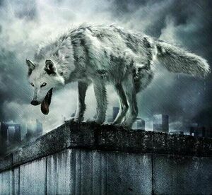 Wolf city.jpg