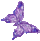 ButterflyPurple.gif