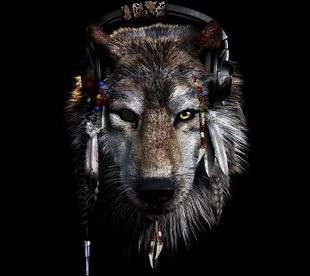 Native Wolf 02.jpg
